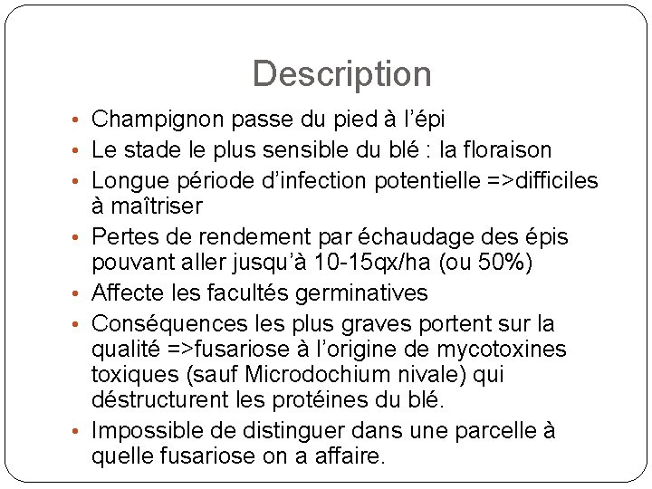 Description • Champignon passe du pied à l’épi • Le stade le plus sensible