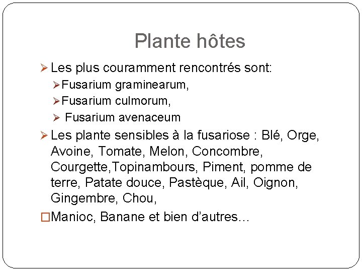 Plante hôtes Ø Les plus couramment rencontrés sont: Ø Fusarium graminearum, Ø Fusarium culmorum,