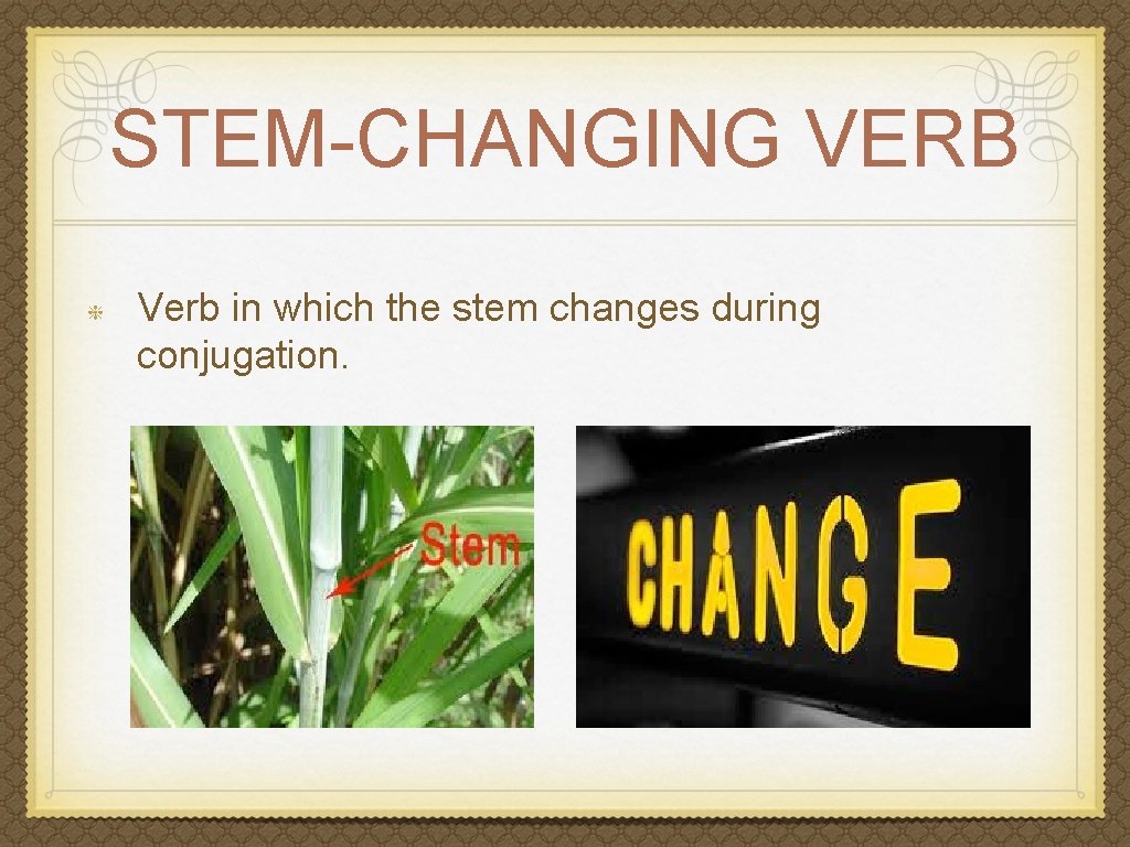 STEM-CHANGING VERB Verb in which the stem changes during conjugation. 