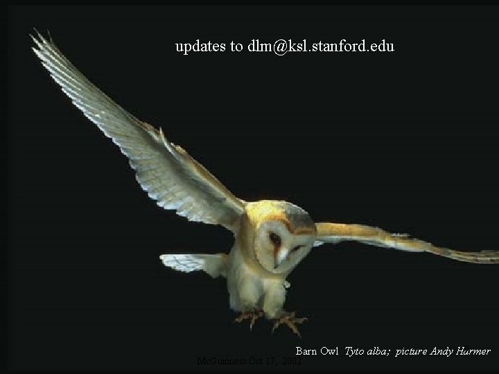 updates to dlm@ksl. stanford. edu 9 Barn Owl Tyto alba; picture Andy Harmer Mc.