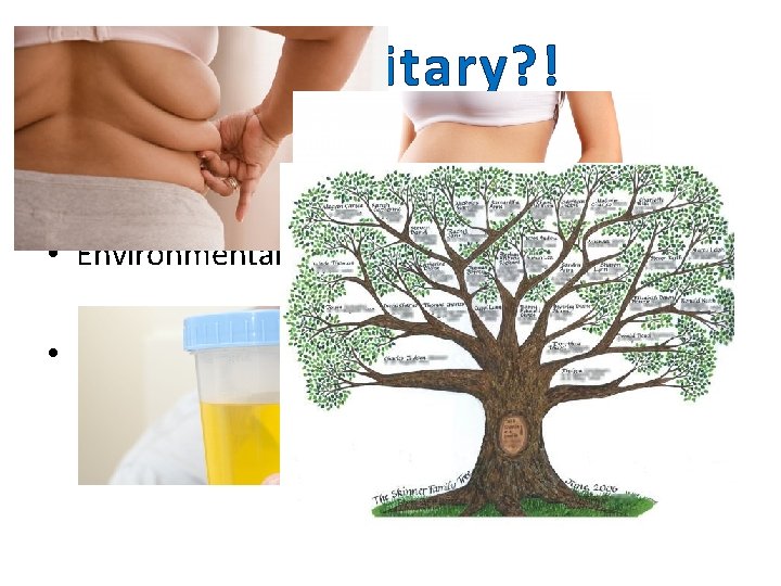 Hereditary? ! • Yes • Environmental Factors • Excessive weight gain 