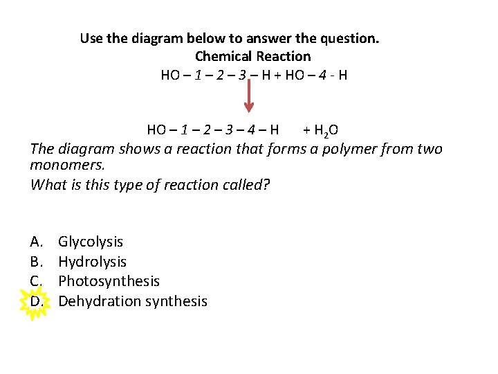 Use the diagram below to answer the question. Chemical Reaction HO – 1 –