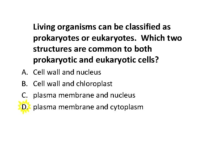 Living organisms can be classified as prokaryotes or eukaryotes. Which two structures are common