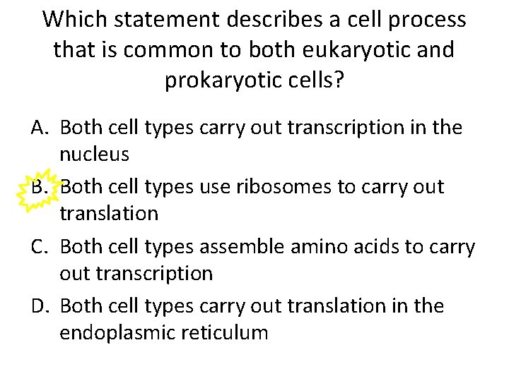 Which statement describes a cell process that is common to both eukaryotic and prokaryotic