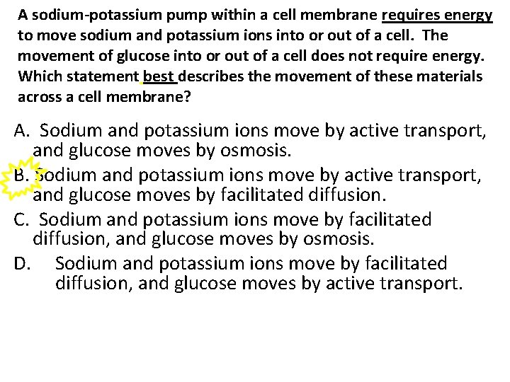 A sodium-potassium pump within a cell membrane requires energy to move sodium and potassium