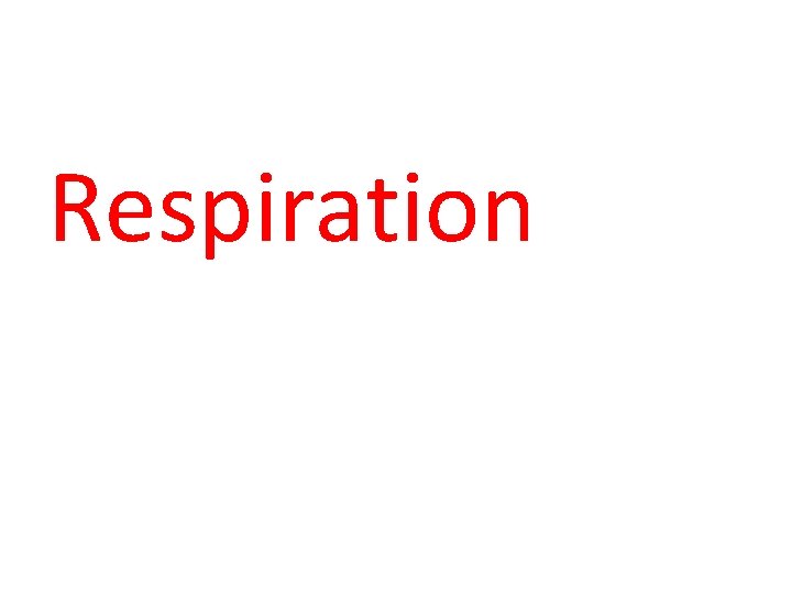 Respiration 