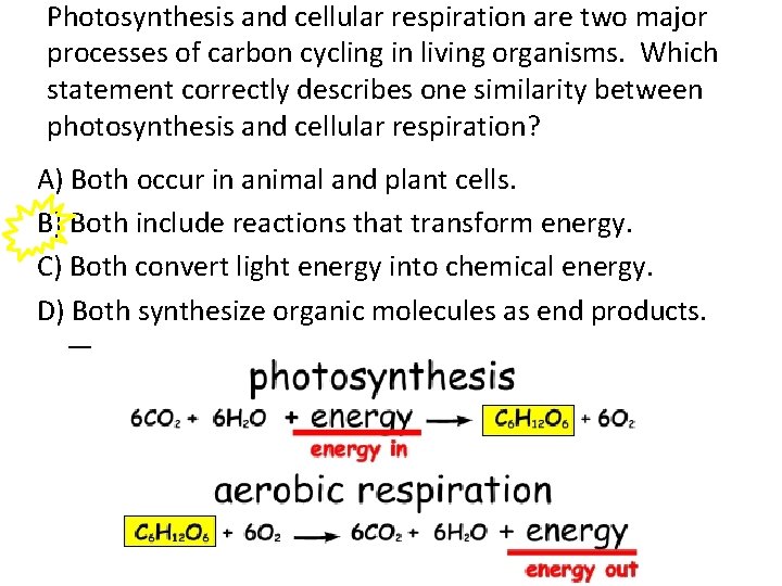 Photosynthesis and cellular respiration are two major processes of carbon cycling in living organisms.