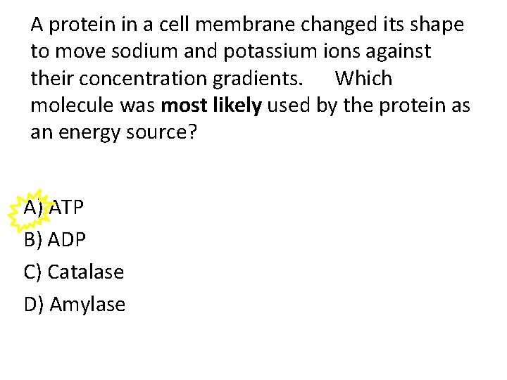 A protein in a cell membrane changed its shape to move sodium and potassium