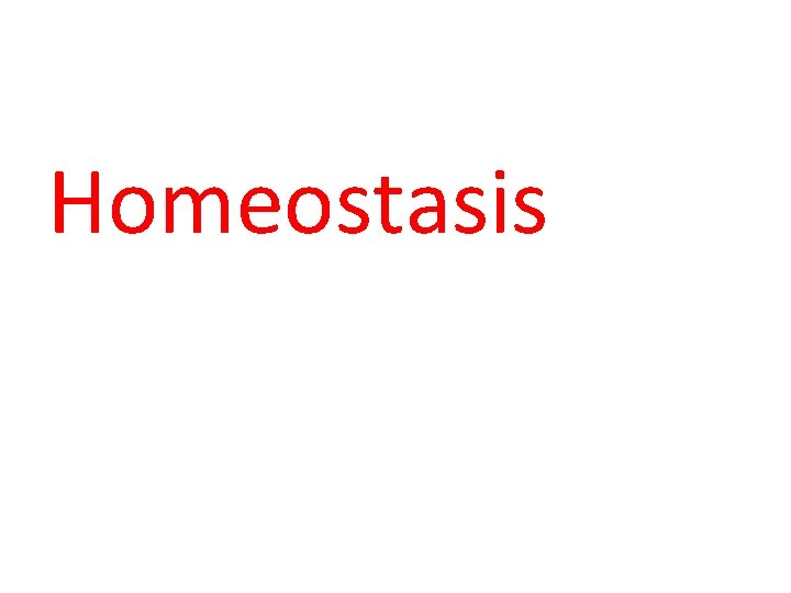 Homeostasis 