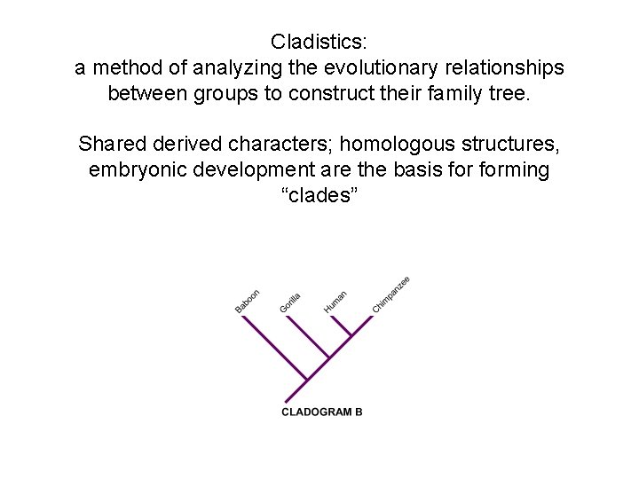 Cladistics: a method of analyzing the evolutionary relationships between groups to construct their family