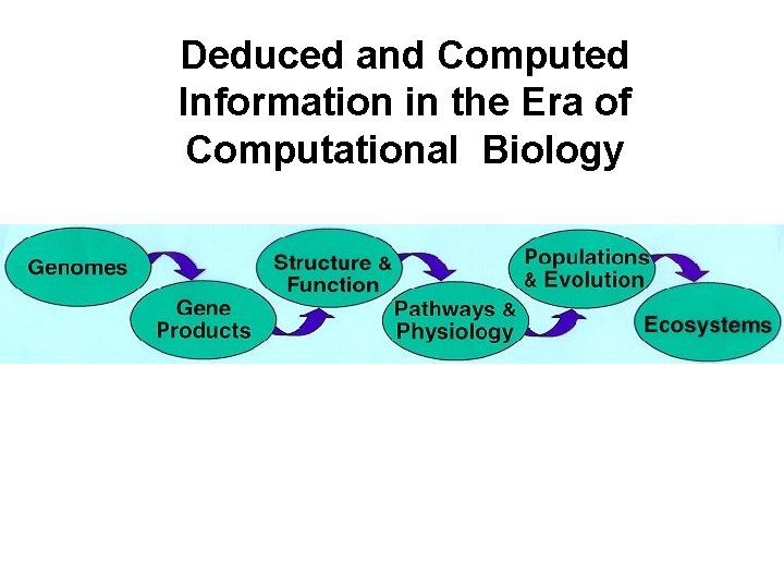 Deduced and Computed Information in the Era of Computational Biology 