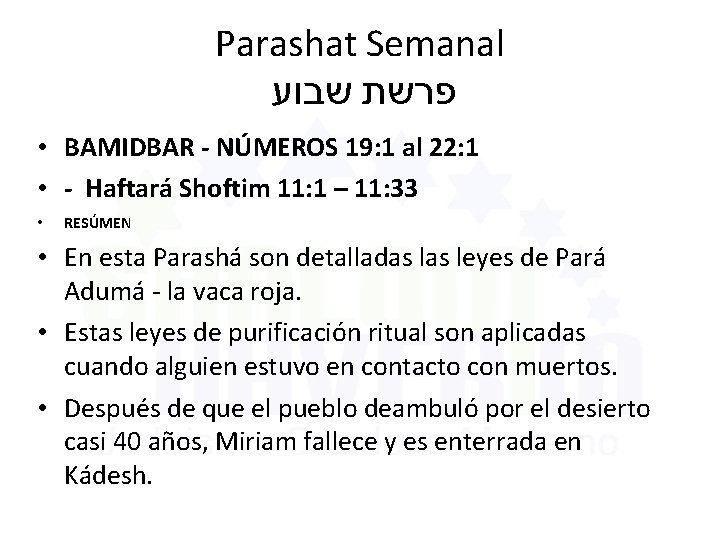 Parashat Semanal פרשת שבוע • BAMIDBAR - NÚMEROS 19: 1 al 22: 1 •