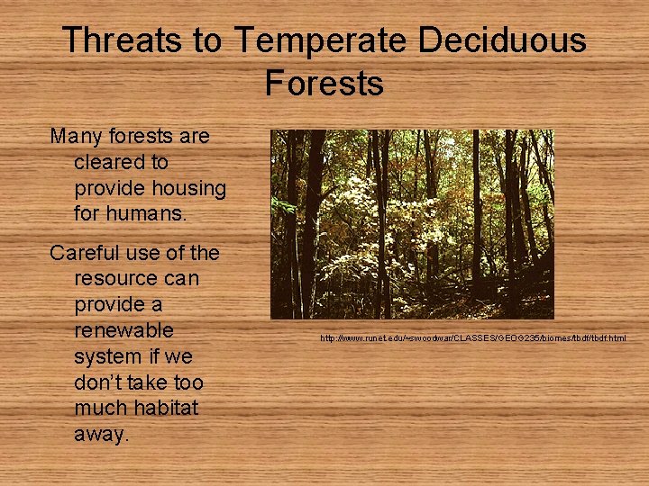 Threats to Temperate Deciduous Forests Many forests are cleared to provide housing for humans.