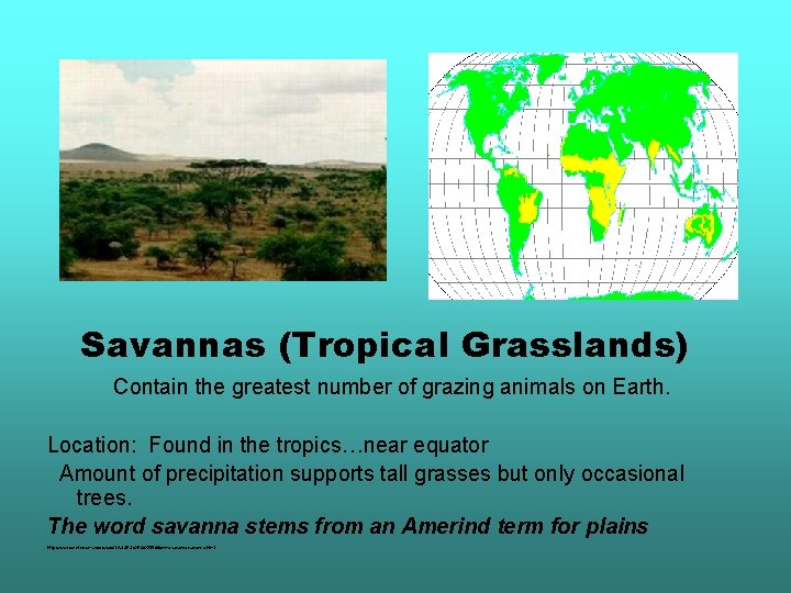 Savannas (Tropical Grasslands) Contain the greatest number of grazing animals on Earth. Location: Found