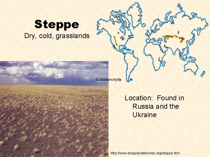 Steppe Dry, cold, grasslands Location: Found in Russia and the Ukraine http: //www. blueplanetbiomes.