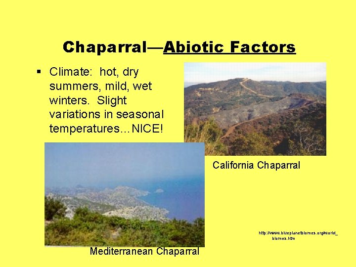 Chaparral—Abiotic Factors § Climate: hot, dry summers, mild, wet winters. Slight variations in seasonal