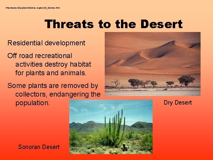 http: //www. blueplanetbiomes. org/world_biomes. htm Threats to the Desert Residential development Off road recreational