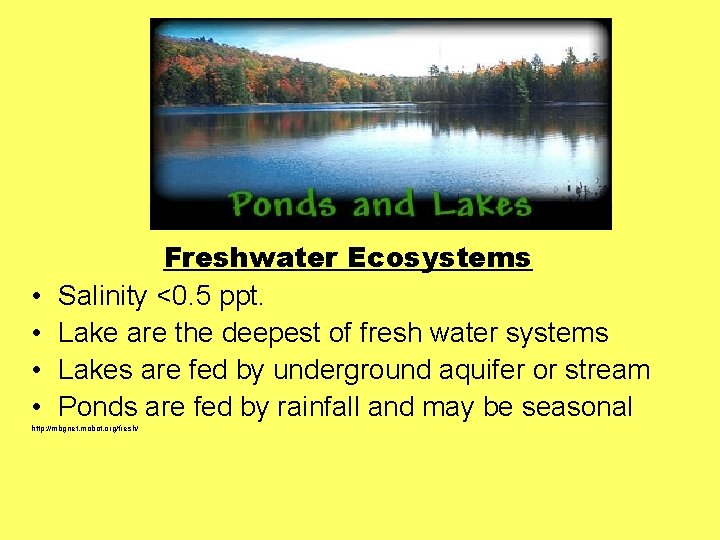 • • Freshwater Ecosystems Salinity <0. 5 ppt. Lake are the deepest of