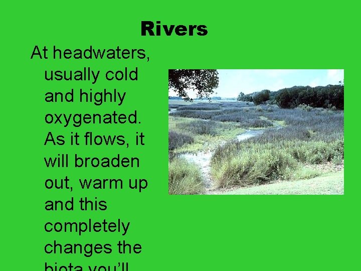 Rivers At headwaters, usually cold and highly oxygenated. As it flows, it will broaden
