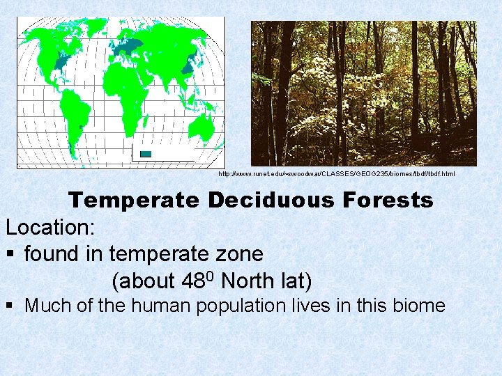 http: //www. runet. edu/~swoodwar/CLASSES/GEOG 235/biomes/tbdf. html Temperate Deciduous Forests Location: § found in temperate