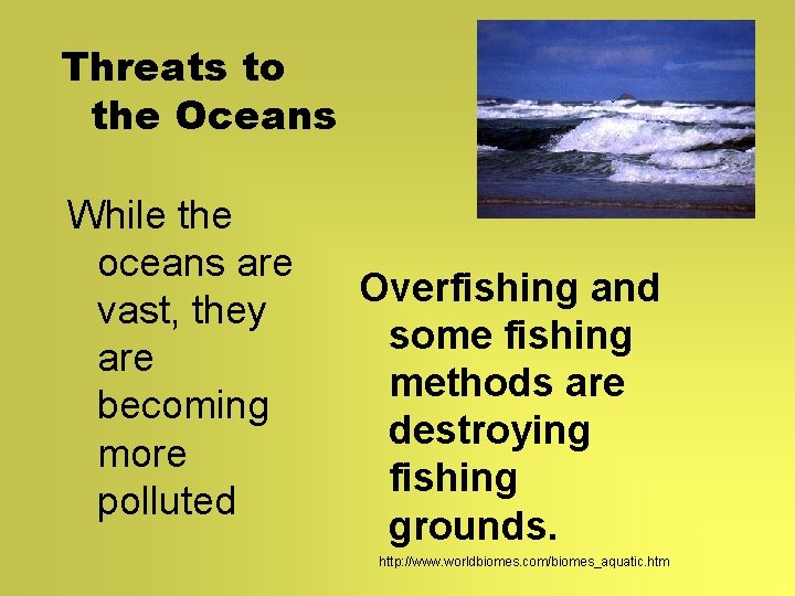 Threats to the Oceans While the oceans are vast, they are becoming more polluted