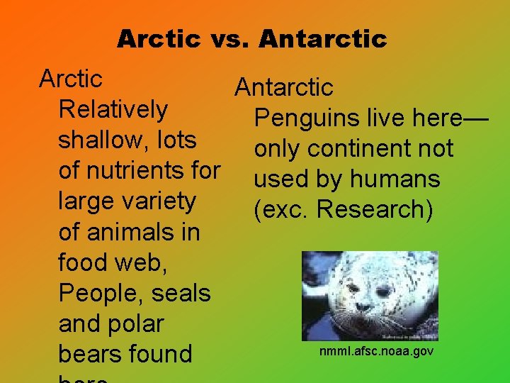 Arctic vs. Antarctic Relatively Penguins live here— shallow, lots only continent not of nutrients