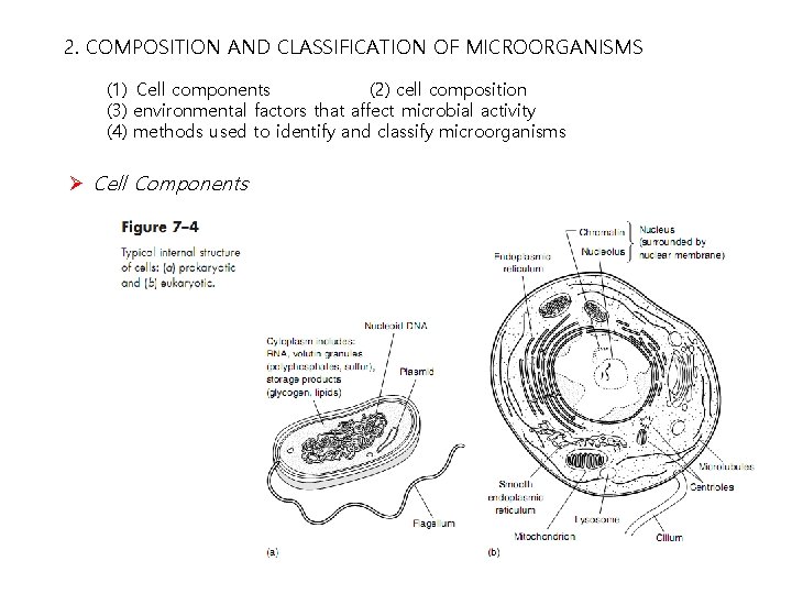 2. COMPOSITION AND CLASSIFICATION OF MICROORGANISMS (1) Cell components (2) cell composition (3) environmental