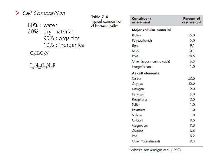 Ø Cell Composition 80% : water 20% : dry material 90% : organics 10%