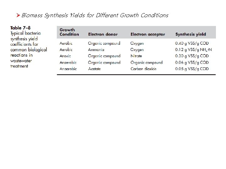ØBiomass Synthesis Yields for Different Growth Conditions 