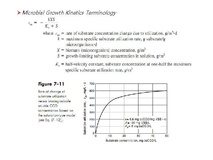ØMicrobial Growth Kinetics Terminology 