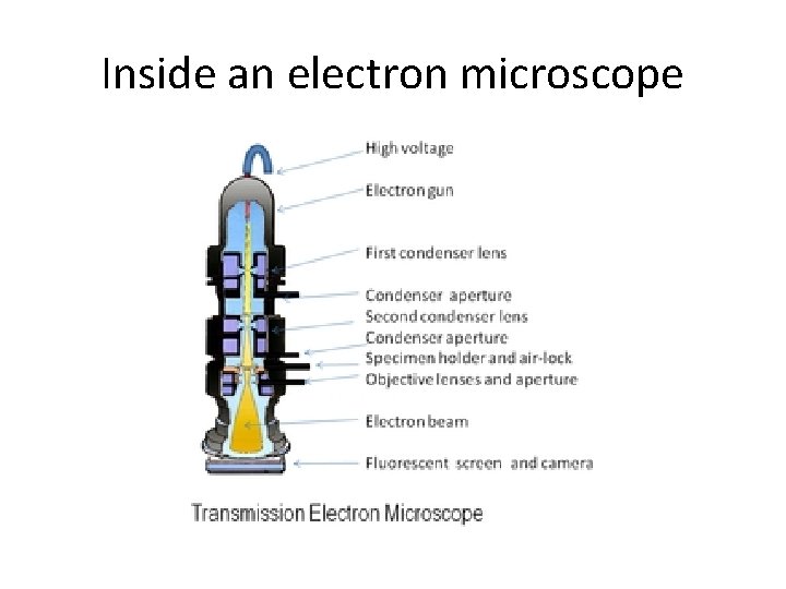 Inside an electron microscope 