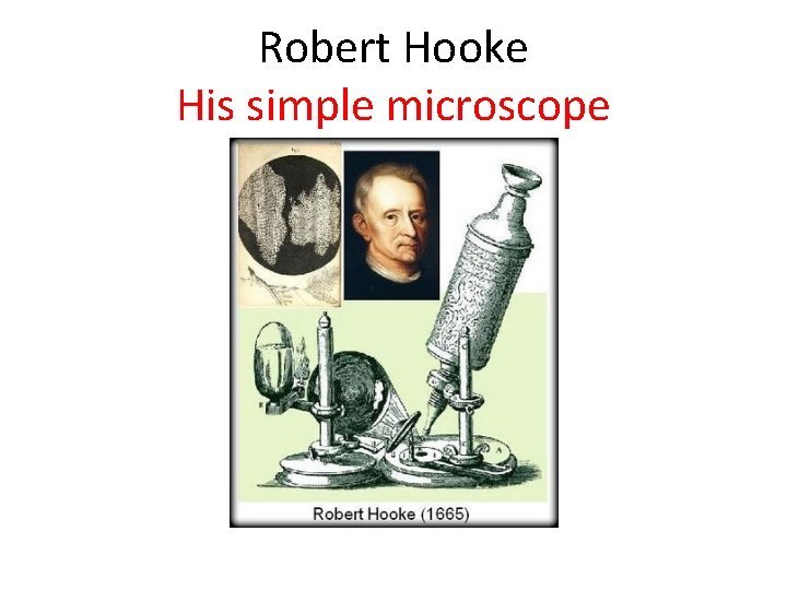 Robert Hooke His simple microscope 