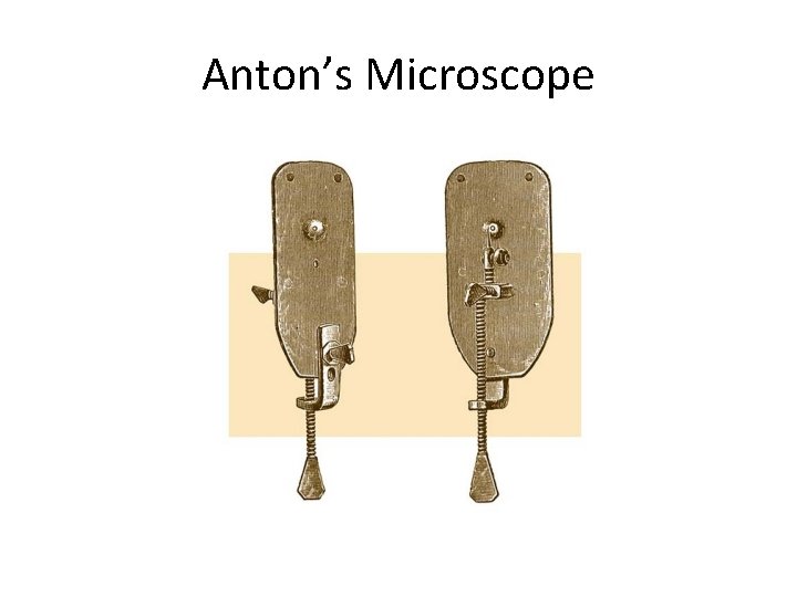 Anton’s Microscope 