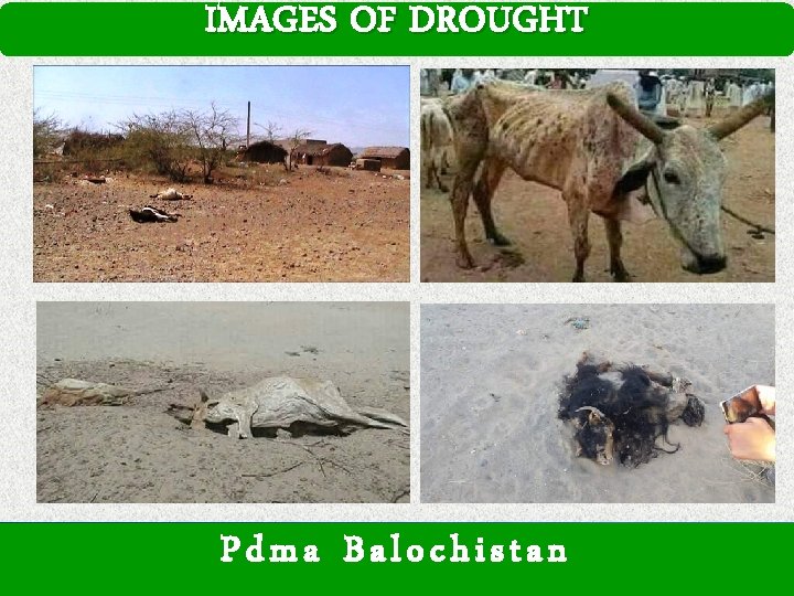 IMAGES OF DROUGHT Pdma Balochistan 