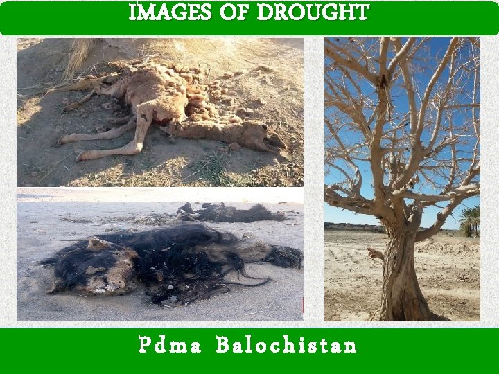 IMAGES OF DROUGHT Pdma Balochistan 