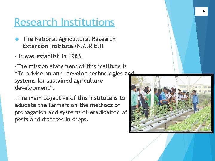 6 Research Institutions The National Agricultural Research Extension Institute (N. A. R. E. I)