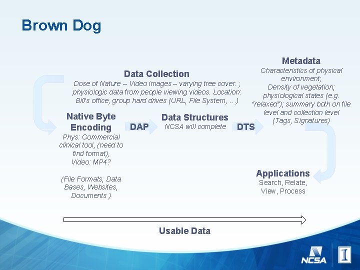 Brown Dog Metadata Data Collection Dose of Nature -- Video images – varying tree