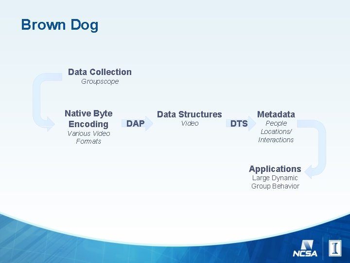 Brown Dog Data Collection Groupscope Native Byte Encoding Various Video Formats DAP Data Structures