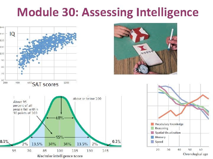 Module 30: Assessing Intelligence 