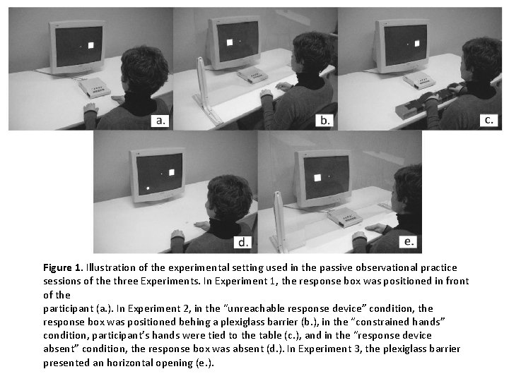 Figure 1. Illustration of the experimental setting used in the passive observational practice sessions