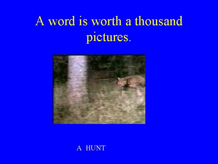 A word is worth a thousand pictures. A HUNT 