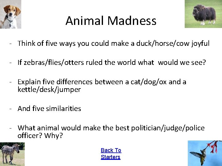 Animal Madness - Think of five ways you could make a duck/horse/cow joyful -
