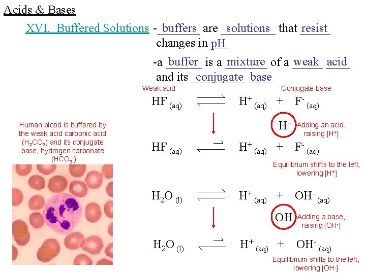 Acids & Bases XVI. Buffered Solutions -_______ buffers are _____ solutions that _____ resist