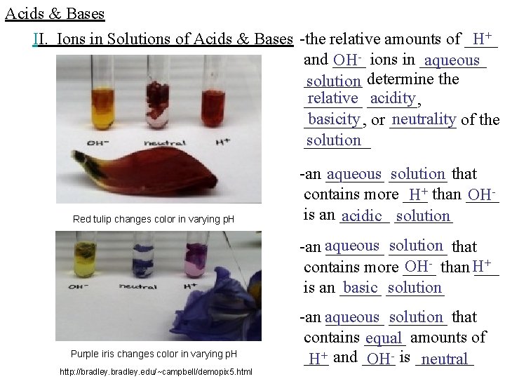 Acids & Bases II. Ions in Solutions of Acids & Bases -the relative amounts