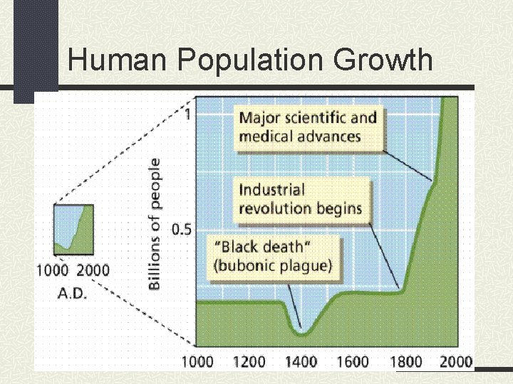 Human Population Growth 