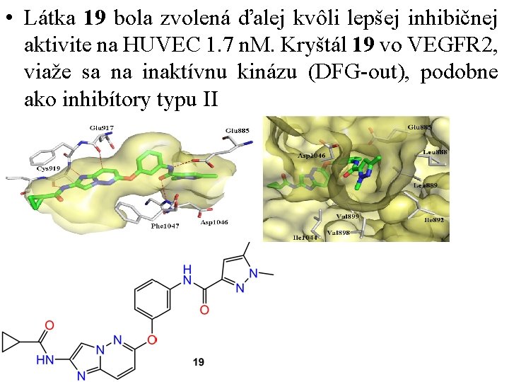  • Látka 19 bola zvolená ďalej kvôli lepšej inhibičnej aktivite na HUVEC 1.