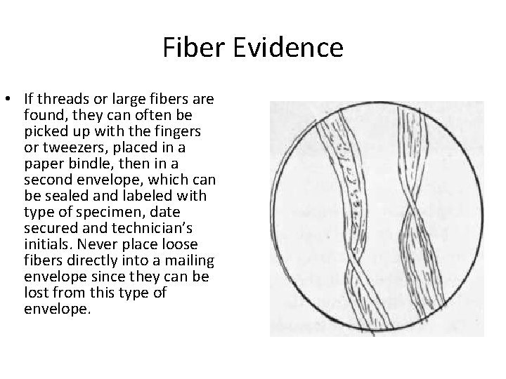 Fiber Evidence • If threads or large fibers are found, they can often be