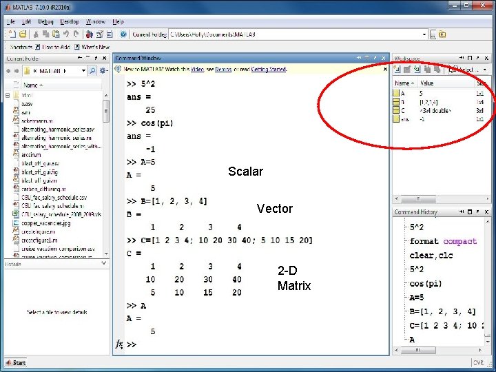 Scalar Vector 2 -D Matrix Scalar Vector 2 -D Matrix