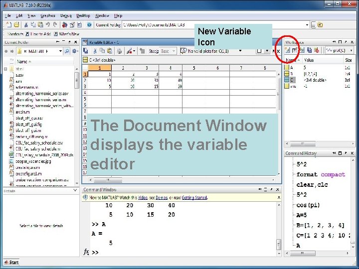 New Variable Icon The Document Window displays the variable editor New Variable Icon The Document Window displays the variable editor