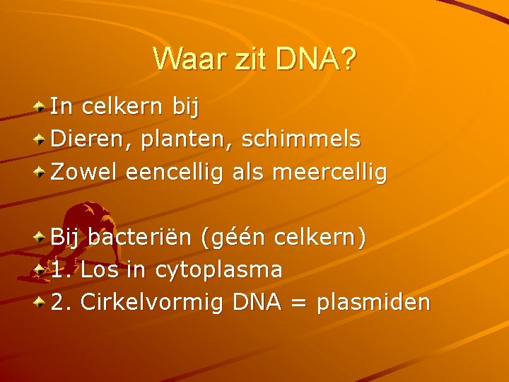 Waar zit DNA? In celkern bij Dieren, planten, schimmels Zowel eencellig als meercellig Bij